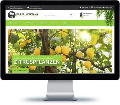 Palmenmann Onlineshop